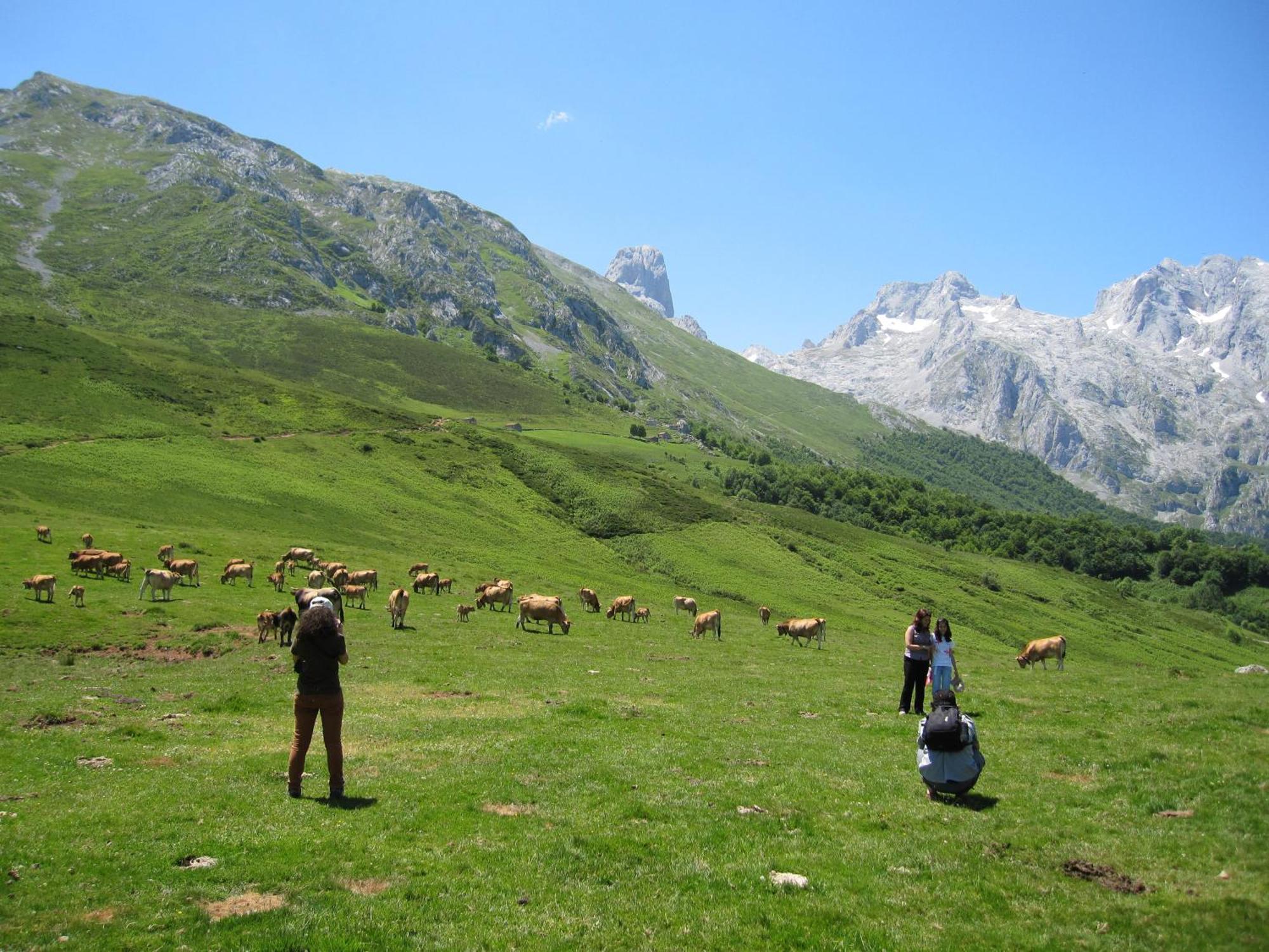 Hosteria Picos De Europa Potes Esterno foto
