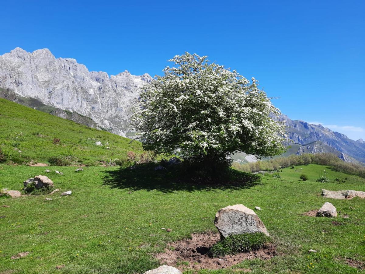Hosteria Picos De Europa Potes Esterno foto